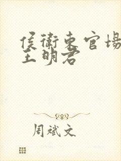 侯卫东官场笔记王明君封面