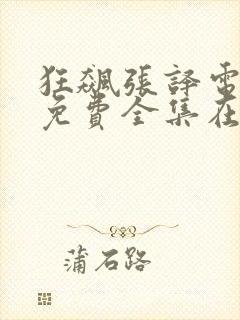 狂飙张译电视剧免费全集在线观看