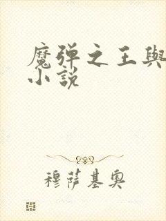 魔弹之王与战姬小说