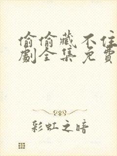 偷偷藏不住广播剧全集免费听