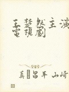 王楚然主演过的电视剧封面