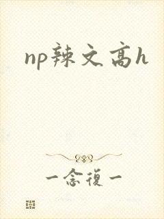 np辣文高h