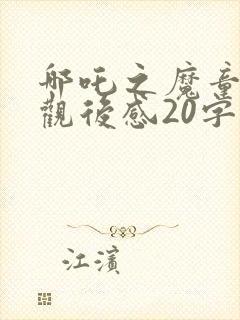 哪吒之魔童降世观后感20字