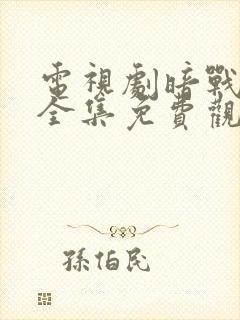 电视剧暗战风云全集免费观看