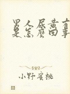 男人尿黄有泡沫是怎么回事