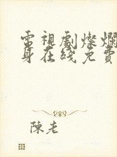 电视剧灿烂的转身在线免费观看