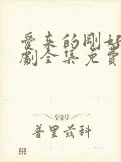 爱来的刚好电视剧全集免费观看完整版