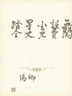 踏星小说无弹窗全文免费阅读