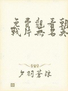 免费观看朝鲜谍战片无名英雄