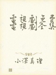 电视剧免费观看电视剧全集在线观看人生之路封面