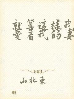 就算这样我还是爱着我的妻子