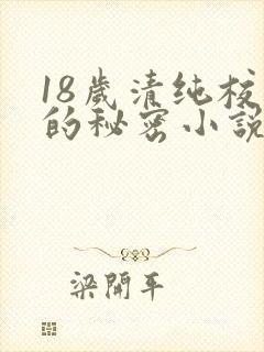 18岁清纯校花的秘密小说免费阅读