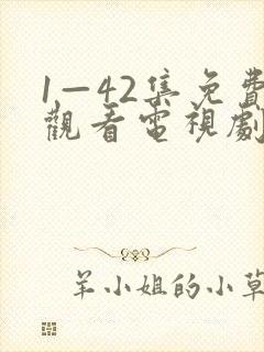 1—42集免费观看电视剧无间