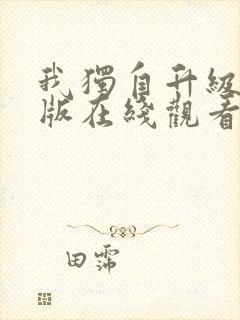 我独自升级中文版在线观看动漫