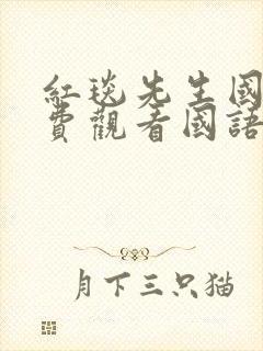 红毯先生国语免费观看国语版封面