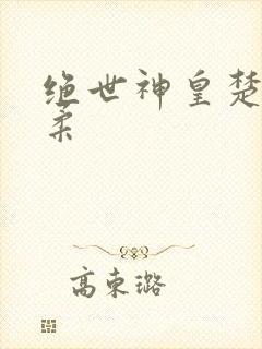 绝世神皇楚枫苏柔