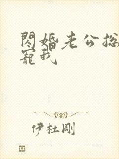 闪婚老公总裁超宠我封面