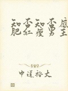 知否知否应是绿肥红瘦男主有孩子