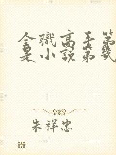 全职高手第三季是小说第几章