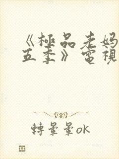 《极品老妈 第五季》电视剧