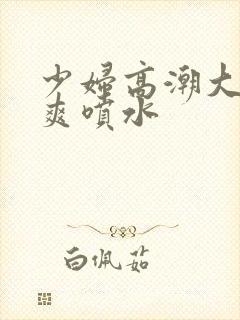 少妇高潮大叫好爽喷水