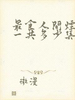 最食人间烟火色一共多少集