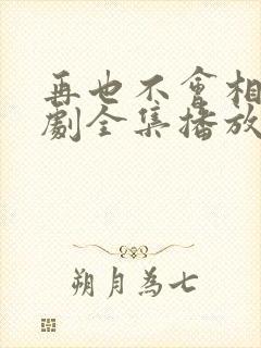 再也不会相见短剧全集播放