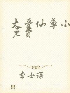 大爱仙尊小说版免费