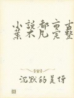 小说都市古仙医叶不凡完整版