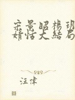 宋景昭杨玥薇林婧恬大结局封面