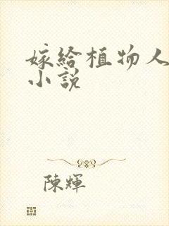 嫁给植物人免费小说封面