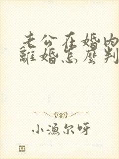 老公在婚内出轨离婚怎么判