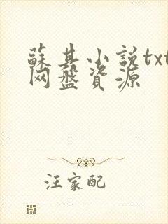 苏其小说txt网盘资源