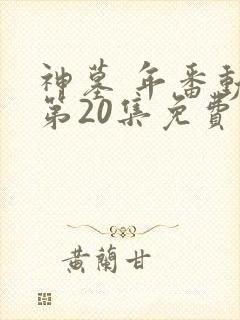 神墓 年番动漫第20集免费观看