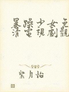 暴躁少女免费高清电视剧观看