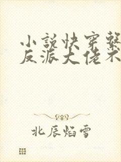 小说快穿系统:反派大佬不好惹