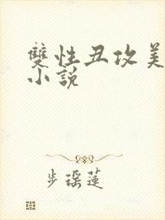 双性丑攻美人受小说封面