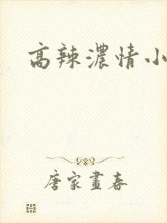 高辣浓情小说