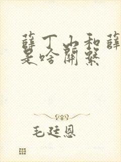 薛丁山和薛仁贵是啥关系