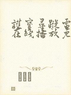 护宝寻踪电视剧在线播放免费观看