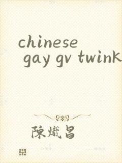 chinese gay gv twink tube tv封面