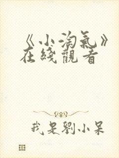 《小淘气》电影在线观看