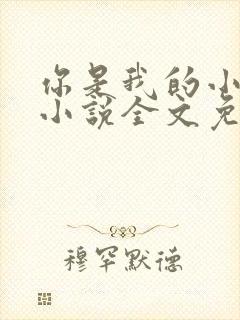 你是我的小酒窝小说全文免费阅读