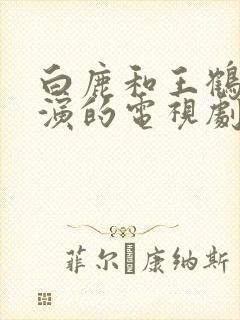 白鹿和王鹤棣主演的电视剧