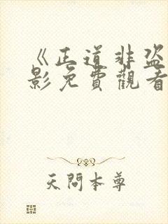 《正道非盗》电影免费观看高清