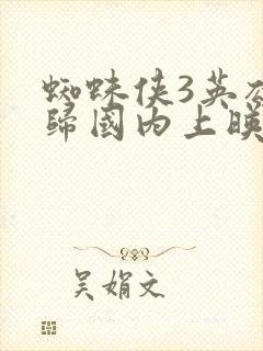 蜘蛛侠3英雄无归国内上映