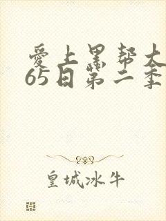 爱上黑帮大佬365日第二季