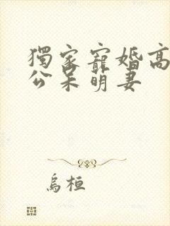 独家宠婚高冷老公呆萌妻封面