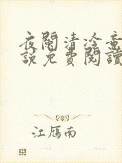 夜阑清冷意欢小说免费阅读