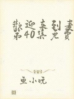 欢迎来到麦乐村第40集免费观看